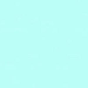 Meet your Posher, Riley